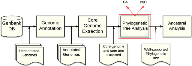 Figure 1 for Binary Particle Swarm Optimization versus Hybrid Genetic Algorithm for Inferring Well Supported Phylogenetic Trees
