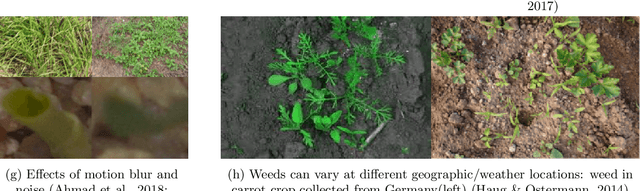 Figure 1 for A Survey of Deep Learning Techniques for Weed Detection from Images