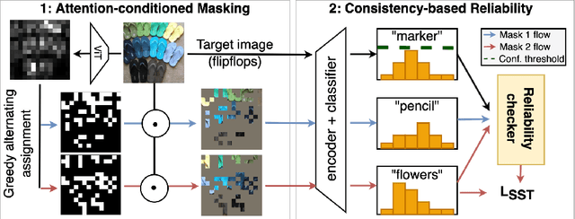 Figure 1 for Adapting Self-Supervised Vision Transformers by Probing Attention-Conditioned Masking Consistency