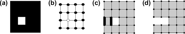 Figure 2 for Invariant Representative Cocycles of Cohomology Generators using Irregular Graph Pyramids