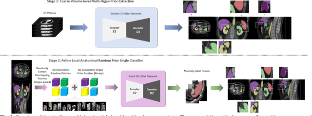 Figure 1 for RAP-Net: Coarse-to-Fine Multi-Organ Segmentation with Single Random Anatomical Prior