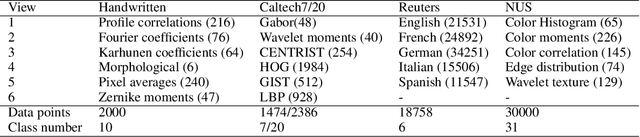 Figure 1 for Large-scale Multi-view Subspace Clustering in Linear Time