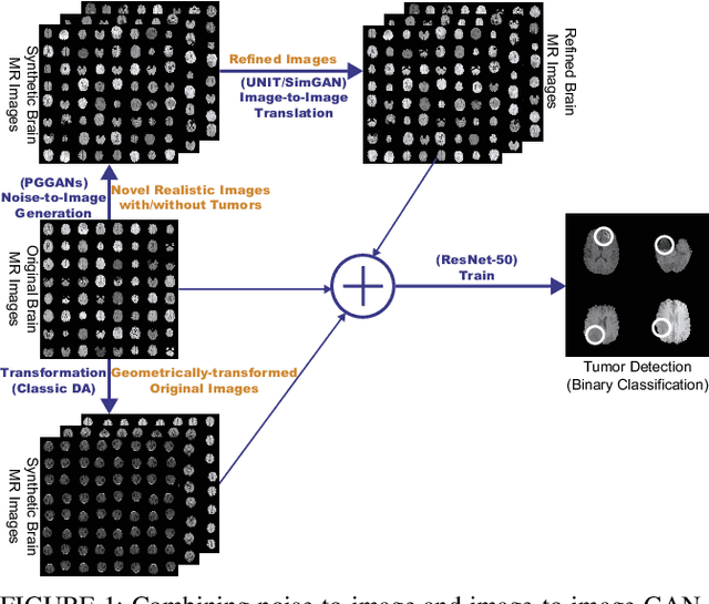 Figure 1 for Combining Noise-to-Image and Image-to-Image GANs: Brain MR Image Augmentation for Tumor Detection