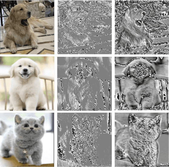 Figure 1 for Reborn Mechanism: Rethinking the Negative Phase Information Flow in Convolutional Neural Network