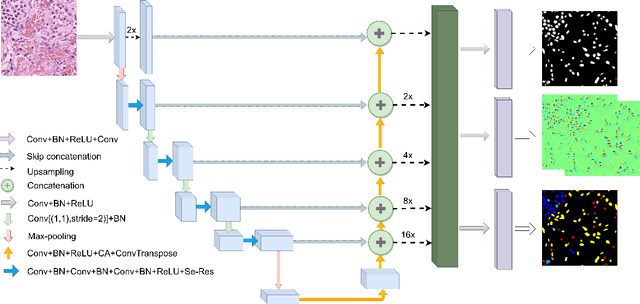 Figure 1 for A Deep Learning Framework for Nuclear Segmentation and Classification in Histopathological Images