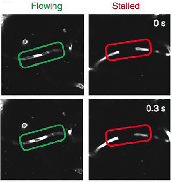 Figure 1 for Advancing Human-AI Complementarity: The Impact of User Expertise and Algorithmic Tuning on Joint Decision Making