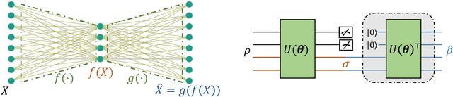 Figure 1 for On exploring practical potentials of quantum auto-encoder with advantages