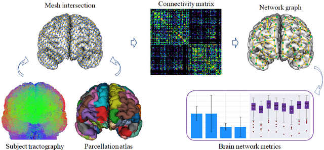 Figure 3 for GeoSP: A parallel method for a cortical surface parcellation based on geodesic distance