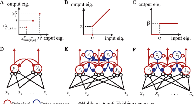 Figure 1 for Optimization theory of Hebbian/anti-Hebbian networks for PCA and whitening
