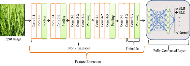 Figure 4 for Paddy Doctor: A Visual Image Dataset for Paddy Disease Classification