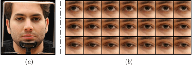Figure 1 for Photo-realistic Monocular Gaze Redirection using Generative Adversarial Networks