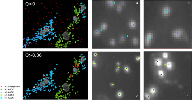 Figure 2 for Improving Recall of In Situ Sequencing by Self-Learned Features and a Graphical Model
