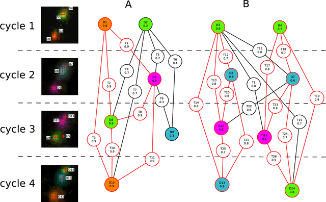 Figure 3 for Improving Recall of In Situ Sequencing by Self-Learned Features and a Graphical Model