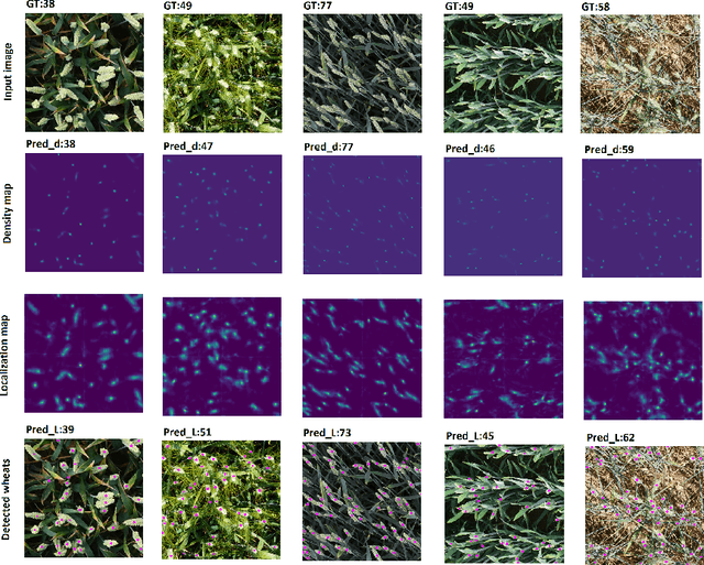 Figure 4 for WheatNet: A Lightweight Convolutional Neural Network for High-throughput Image-based Wheat Head Detection and Counting