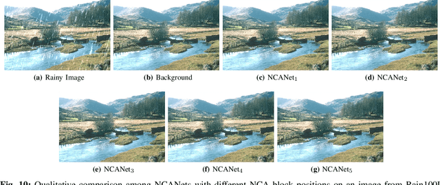 Figure 2 for Non-local Channel Aggregation Network for Single Image Rain Removal