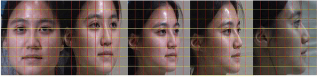 Figure 3 for Cross-database non-frontal facial expression recognition based on transductive deep transfer learning