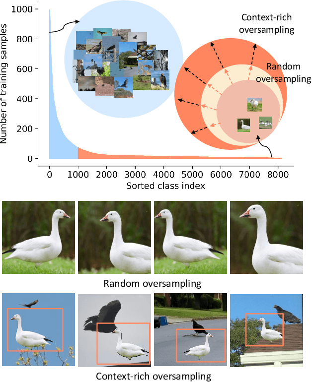 Figure 1 for The Majority Can Help The Minority: Context-rich Minority Oversampling for Long-tailed Classification