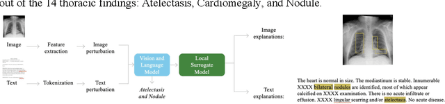Figure 1 for The Ability of Image-Language Explainable Models to Resemble Domain Expertise