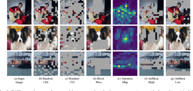 Figure 1 for What to Hide from Your Students: Attention-Guided Masked Image Modeling