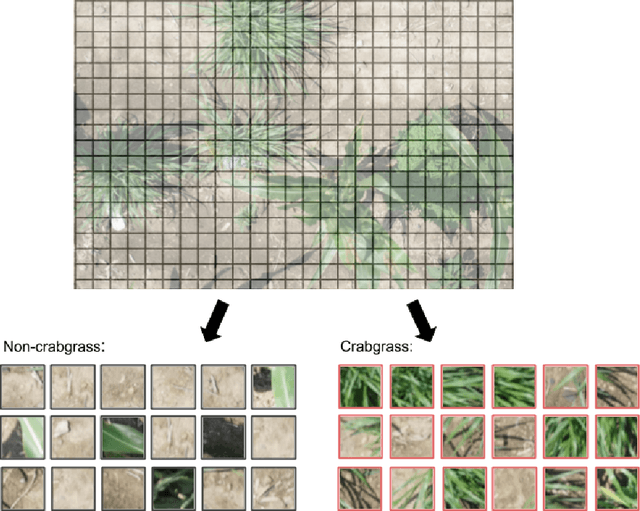 Figure 3 for Automated Crabgrass Detection in Aerial Imagery with Context