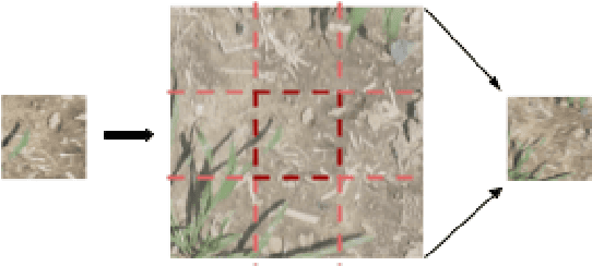Figure 4 for Automated Grassy Weed Detection in Aerial Imagery with Context