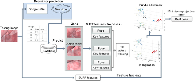 Figure 4 for Combining Deep Learning with Geometric Features for Image based Localization in the Gastrointestinal Tract
