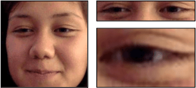 Figure 4 for Efficiency in Real-time Webcam Gaze Tracking