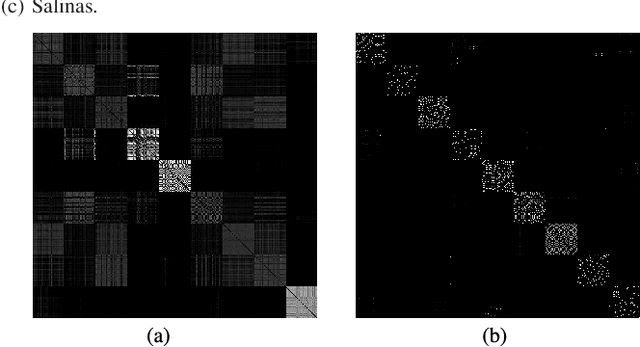 Figure 4 for Hyperspectral Image Classification in the Presence of Noisy Labels