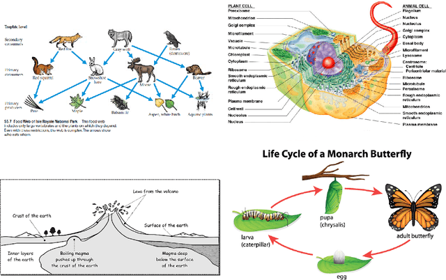 Figure 1 for AI2D-RST: A multimodal corpus of 1000 primary school science diagrams