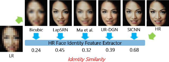 Figure 1 for Super-Identity Convolutional Neural Network for Face Hallucination