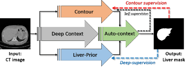 Figure 1 for Liver Segmentation in Abdominal CT Images via Auto-Context Neural Network and Self-Supervised Contour Attention