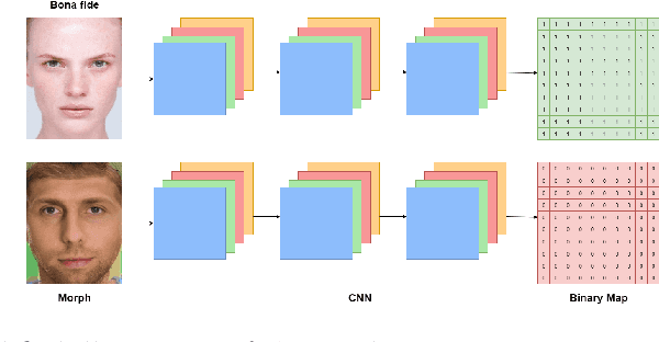 Figure 1 for PW-MAD: Pixel-wise Supervision for Generalized Face Morphing Attack Detection