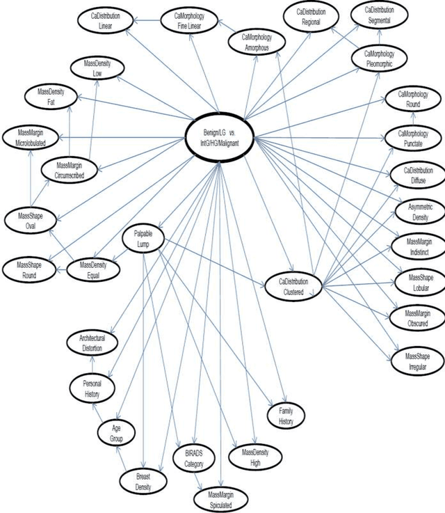 Figure 2 for A tree augmented naive Bayesian network experiment for breast cancer prediction