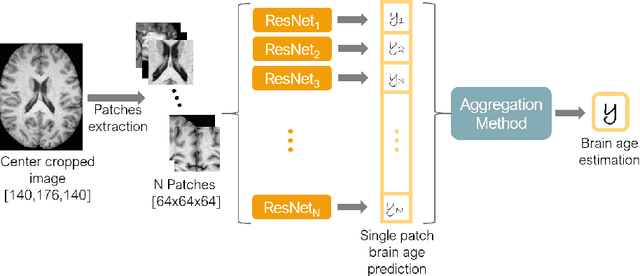 Figure 1 for Patch-based Brain Age Estimation from MR Images