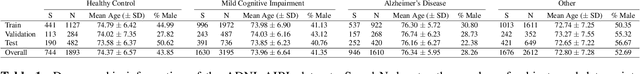 Figure 1 for Going deeper with brain morphometry using neural networks