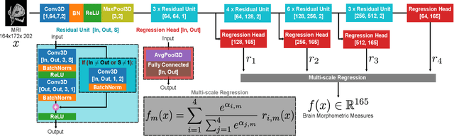 Figure 2 for Going deeper with brain morphometry using neural networks