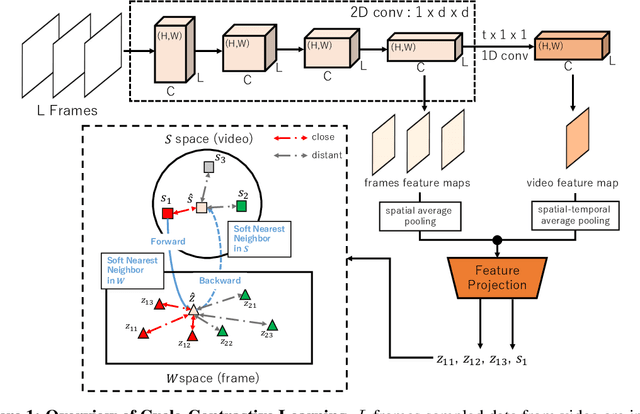 Figure 1 for Cycle-Contrast for Self-Supervised Video Representation Learning