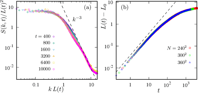 Figure 2 for Anomalous phase separation and hidden coarsening of super-clusters in the Falicov-Kimball model