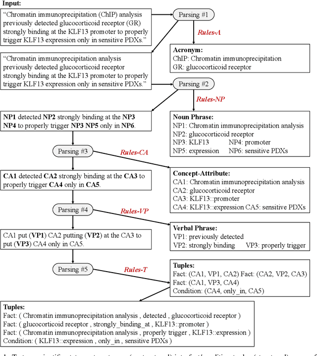 Figure 1 for Multi-Round Parsing-based Multiword Rules for Scientific OpenIE
