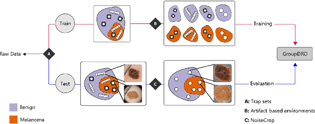 Figure 1 for Artifact-Based Domain Generalization of Skin Lesion Models