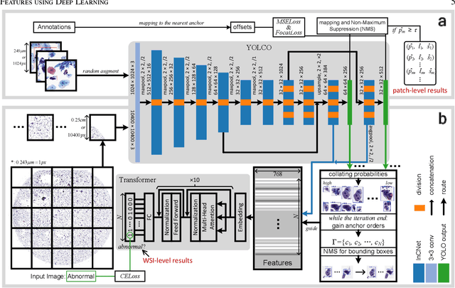 Figure 3 for An Efficient Cervical Whole Slide Image Analysis Framework Based on Multi-scale Semantic and Spatial Deep Features