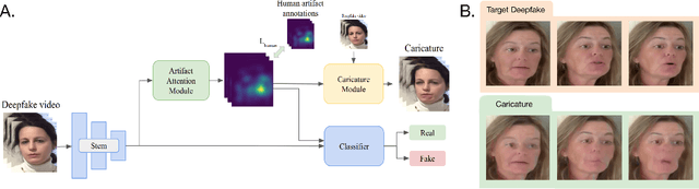 Figure 1 for Deepfake Caricatures: Amplifying attention to artifacts increases deepfake detection by humans and machines