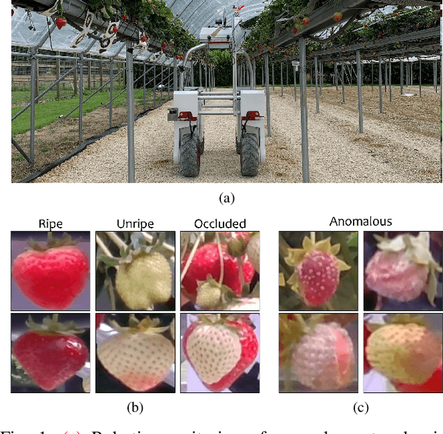 Figure 1 for Self-supervised Representation Learning for Reliable Robotic Monitoring of Fruit Anomalies