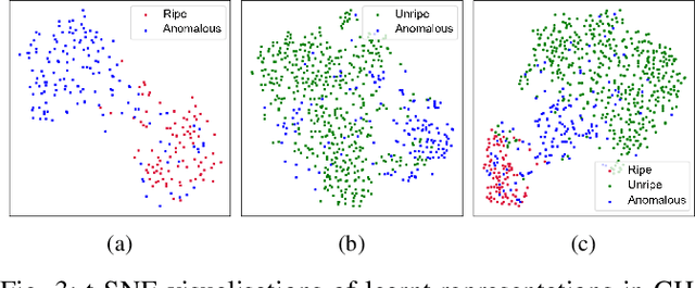 Figure 3 for Self-supervised Representation Learning for Reliable Robotic Monitoring of Fruit Anomalies