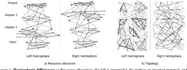 Figure 1 for Deep learning in a bilateral brain with hemispheric specialization