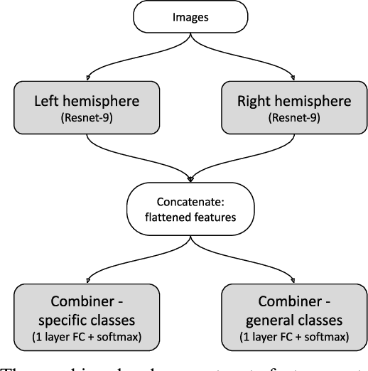 Figure 4 for Deep learning in a bilateral brain with hemispheric specialization