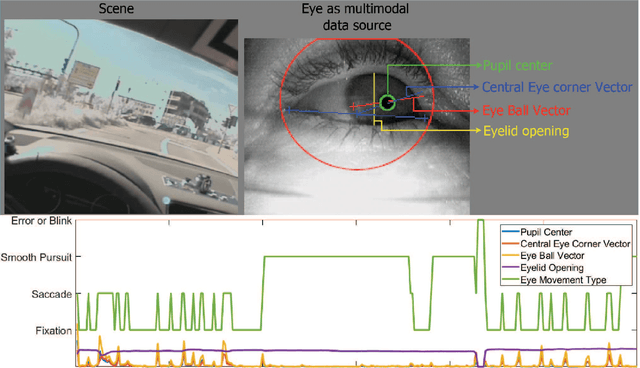 Figure 1 for A Multimodal Eye Movement Dataset and a Multimodal Eye Movement Segmentation Analysis