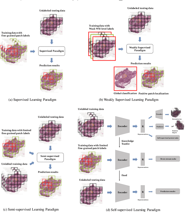 Figure 2 for Towards Label-efficient Automatic Diagnosis and Analysis: A Comprehensive Survey of Advanced Deep Learning-based Weakly-supervised, Semi-supervised and Self-supervised Techniques in Histopathological Image Analysis