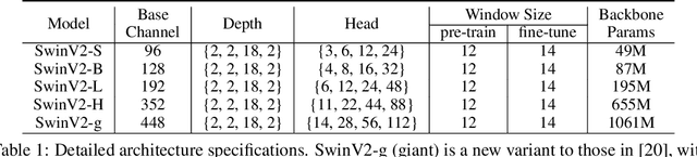 Figure 2 for On Data Scaling in Masked Image Modeling