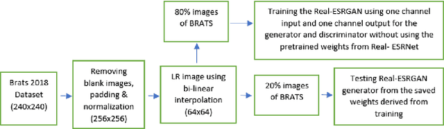 Figure 2 for Single MR Image Super-Resolution using Generative Adversarial Network